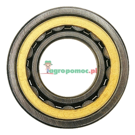  Cylindrical roller bearing